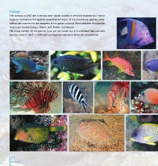 Page 37 - Marine Life in Qatar