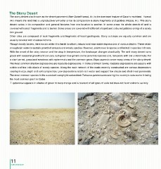 Page 11 - Plant Life in Qatar